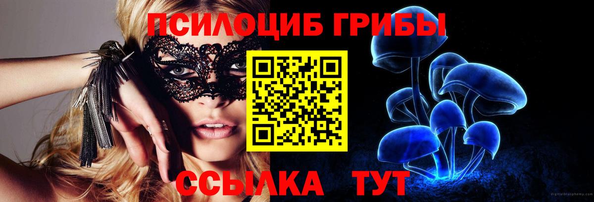 Сатка  Псилоцибиновые грибы Cubensis  Вход с VPN 